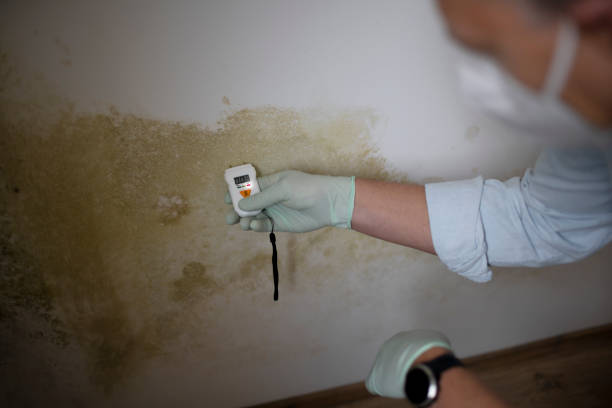 Water Damage Restoration in Clinton, IN