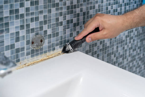 Best Residential Mold Removal  in Clton, IN