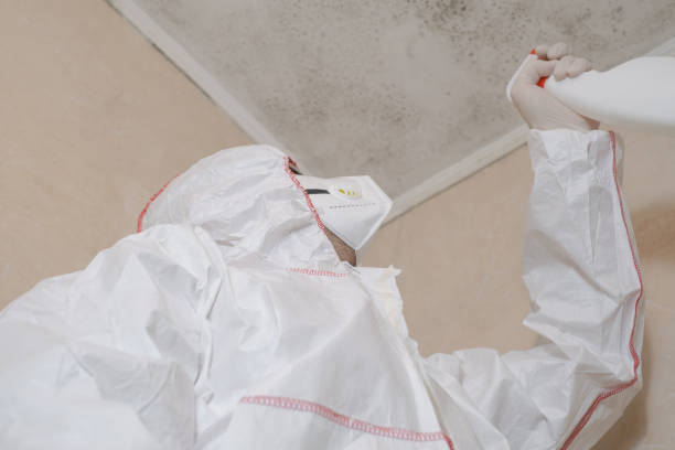 Best Mold Removal Specialists  in Clton, IN